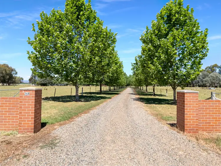 Third view of Homely house listing, 268 Oxley Plains Road, Milawa VIC 3678