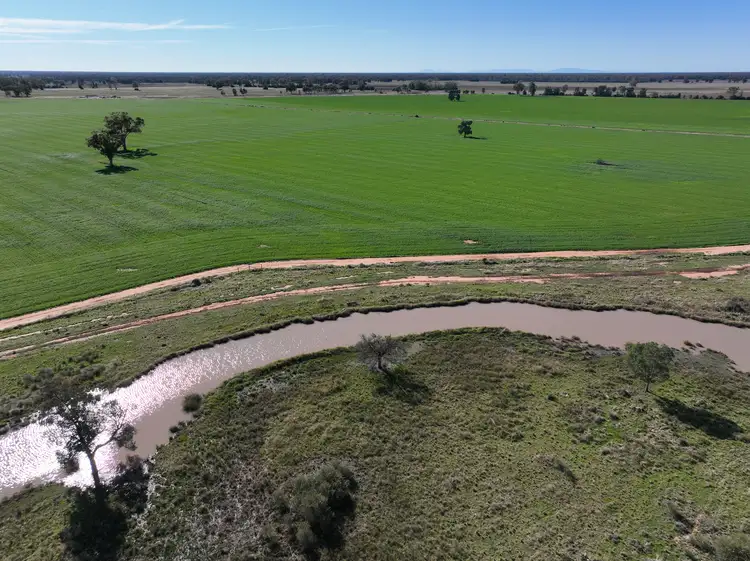 Third view of Homely rural property listing, . HD Creek Road, Wee Waa NSW 2388