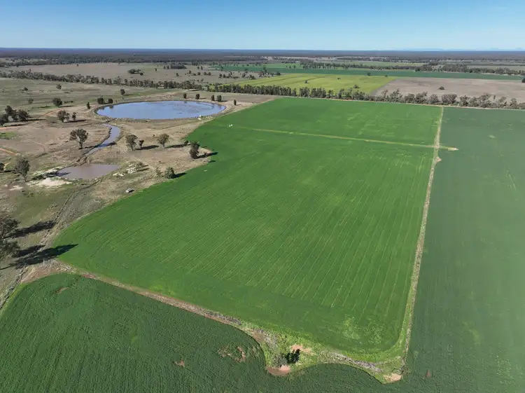 Sixth view of Homely rural property listing, . HD Creek Road, Wee Waa NSW 2388