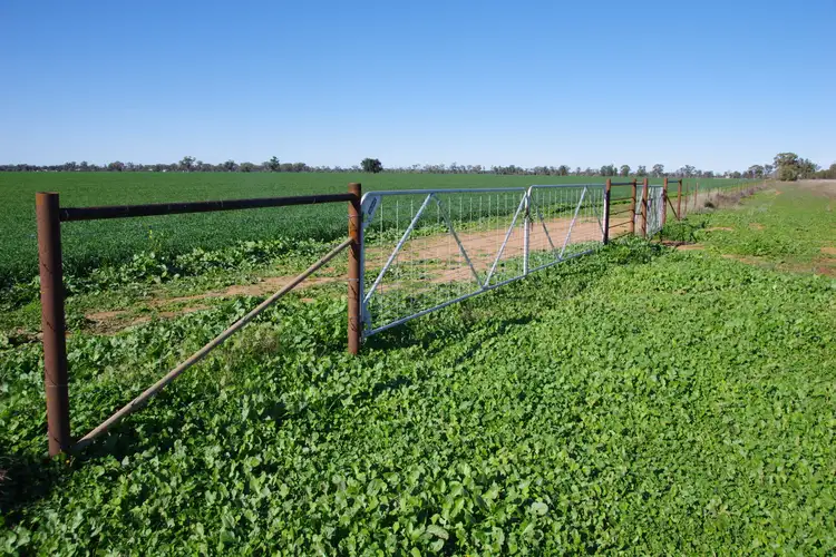 Seventh view of Homely rural property listing, . HD Creek Road, Wee Waa NSW 2388