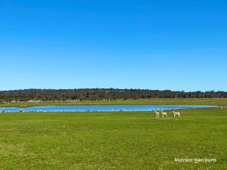 Main view of Homely rural property listing, 4601 Doyle Road, Bokal WA 6392
