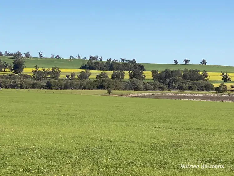 Third view of Homely rural property listing, 4601 Doyle Road, Bokal WA 6392