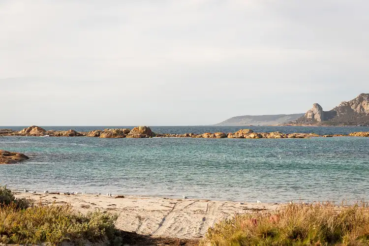 Third view of Homely land listing, PID 6433843 Killiecrankie Road, Killiecrankie TAS 7255