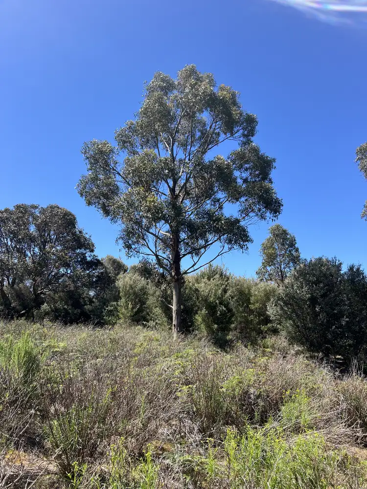 Third view of Homely rural property listing, PID 6423792 Fairhaven Road, Memana TAS 7255