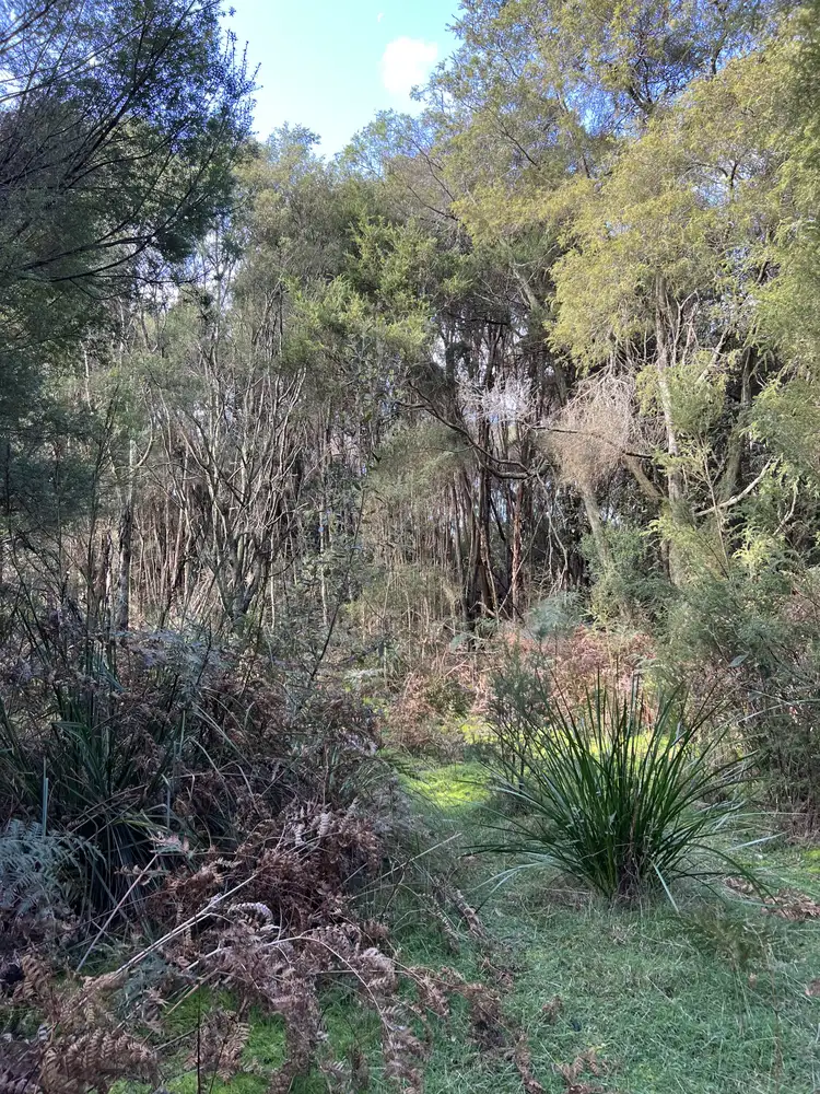 Sixth view of Homely land listing, 1038 Pegarah Road, Naracoopa TAS 7256