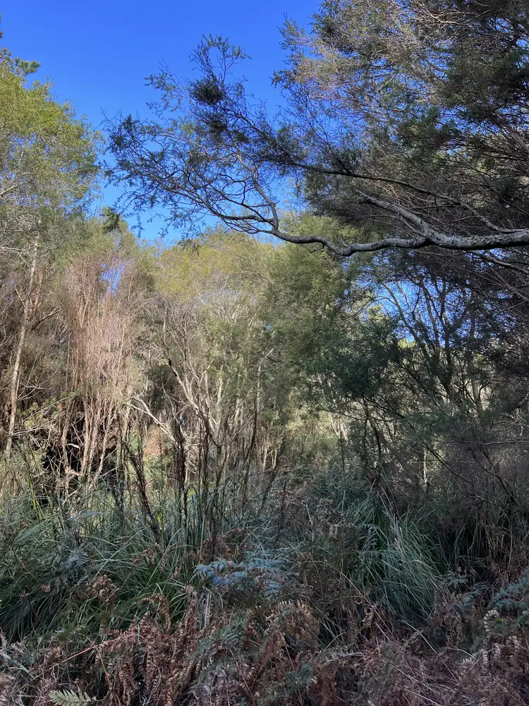 Seventh view of Homely land listing, 1038 Pegarah Road, Naracoopa TAS 7256