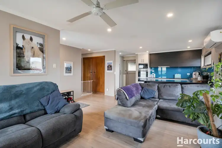 Fifth view of Homely house listing, 2 Elizabeth Street, Scottsdale TAS 7260