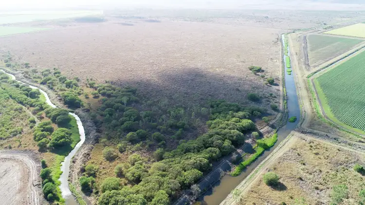 Fifth view of Homely rural property listing, Lot/55 Ted Walsh Road, Kirknie QLD 4806