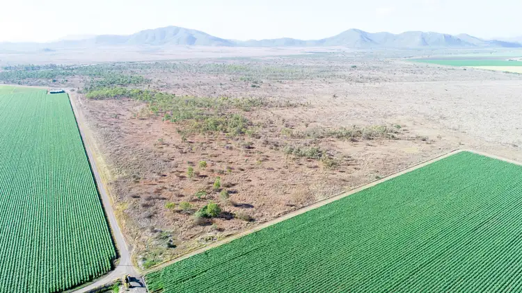 Seventh view of Homely rural property listing, Lot/37 Ted Walsh Road, Kirknie QLD 4806