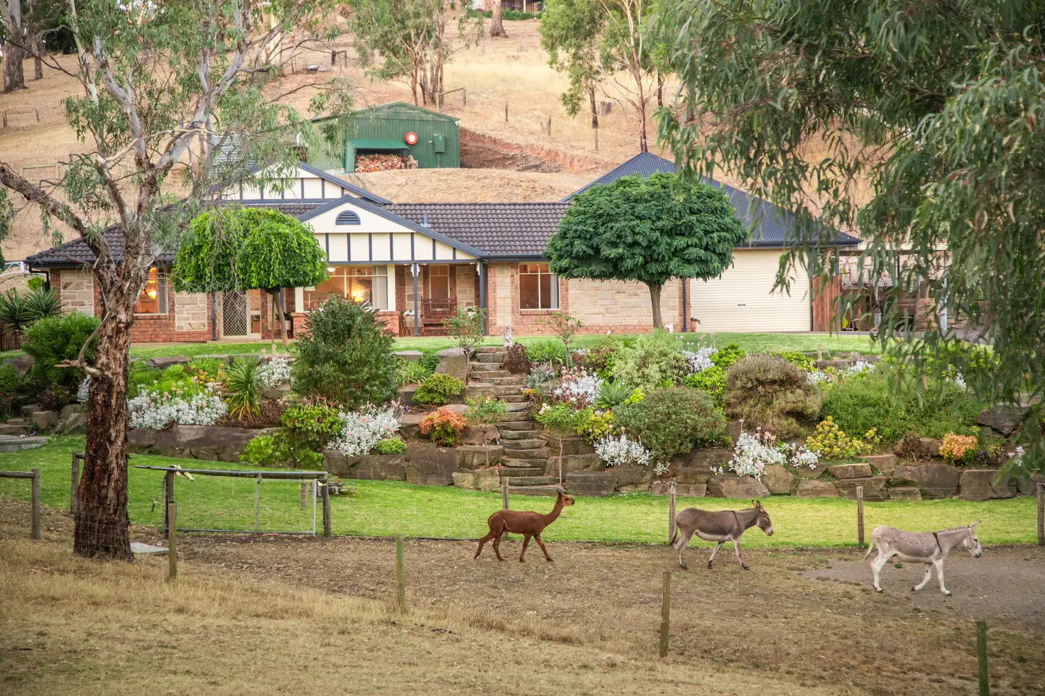 Main view of Homely rural property listing, 177 Grants Gully Road, Clarendon SA 5157