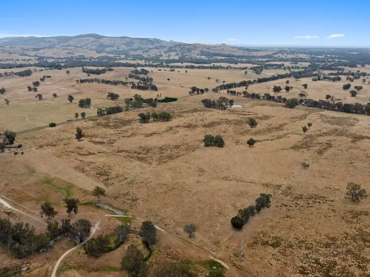 Seventh view of Homely rural property listing, 244 Smiths Road, Violet Town VIC 3669