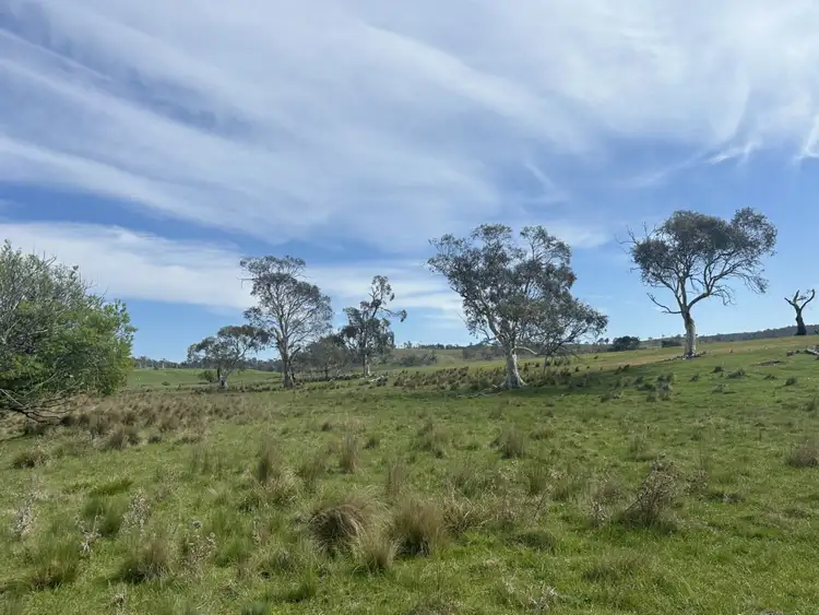 Fourth view of Homely rural property listing, 1126 Nala Road, York Plains TAS 7120