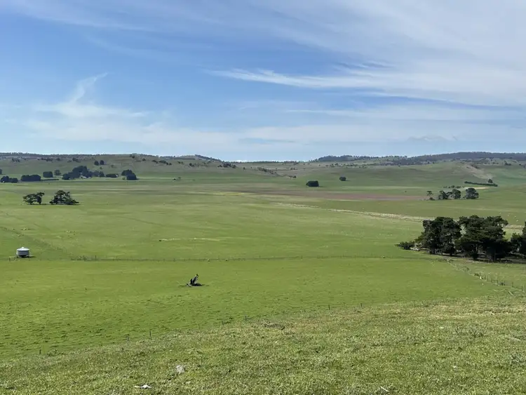 Sixth view of Homely rural property listing, 1126 Nala Road, York Plains TAS 7120