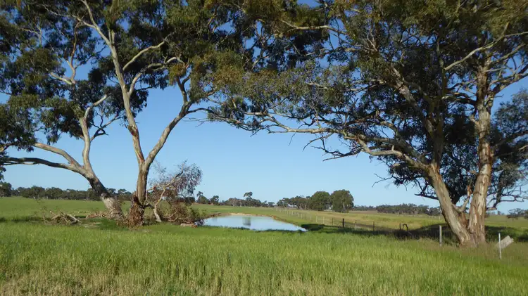 Main view of Homely rural property listing, 10050 Ngarkat Highway, Bordertown SA 5268