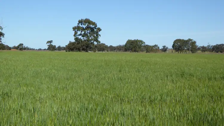 Second view of Homely rural property listing, 10050 Ngarkat Highway, Bordertown SA 5268