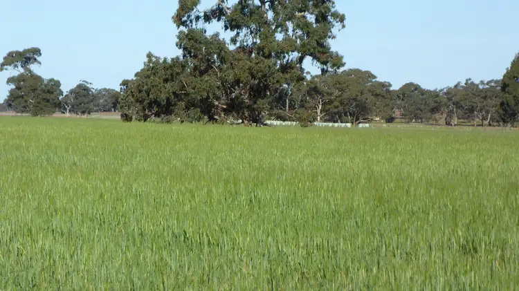 Fourth view of Homely rural property listing, 10050 Ngarkat Highway, Bordertown SA 5268
