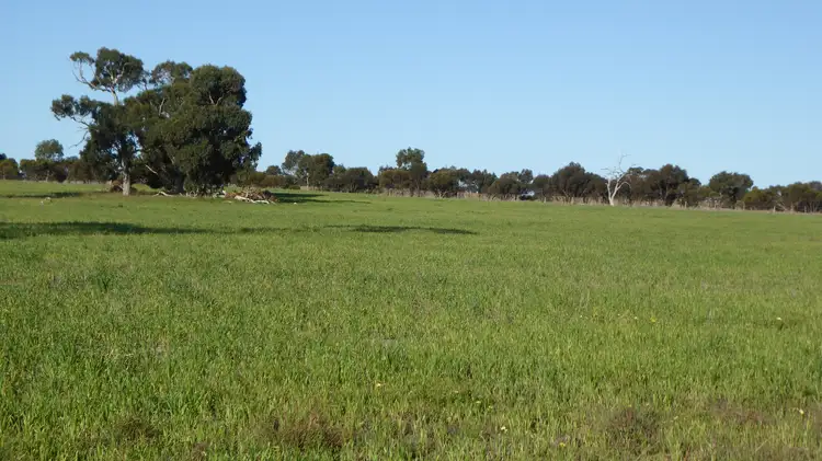 Sixth view of Homely rural property listing, 10050 Ngarkat Highway, Bordertown SA 5268
