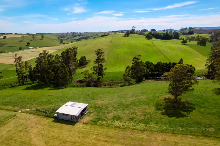 Main view of Homely rural property listing, 141 Sledge Track, West Scottsdale TAS 7260