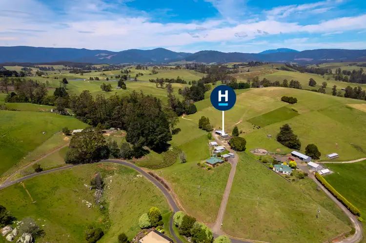 Third view of Homely rural property listing, 141 Sledge Track, West Scottsdale TAS 7260