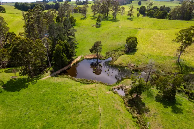 Fifth view of Homely rural property listing, 141 Sledge Track, West Scottsdale TAS 7260
