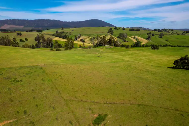 Sixth view of Homely rural property listing, 141 Sledge Track, West Scottsdale TAS 7260