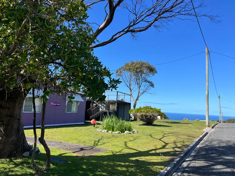 Second view of Homely house listing, 16 Sassafras Street, Grassy TAS 7256