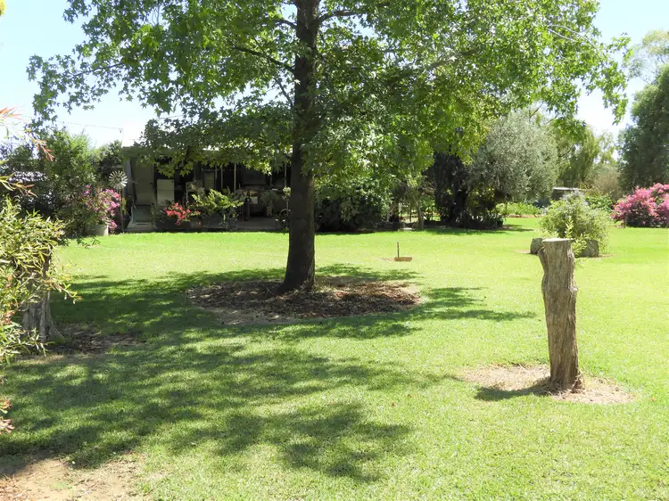 Main view of Homely rural property listing, 45 Hilton Lane, Warren NSW 2824