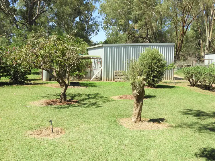 Fourth view of Homely rural property listing, 45 Hilton Lane, Warren NSW 2824