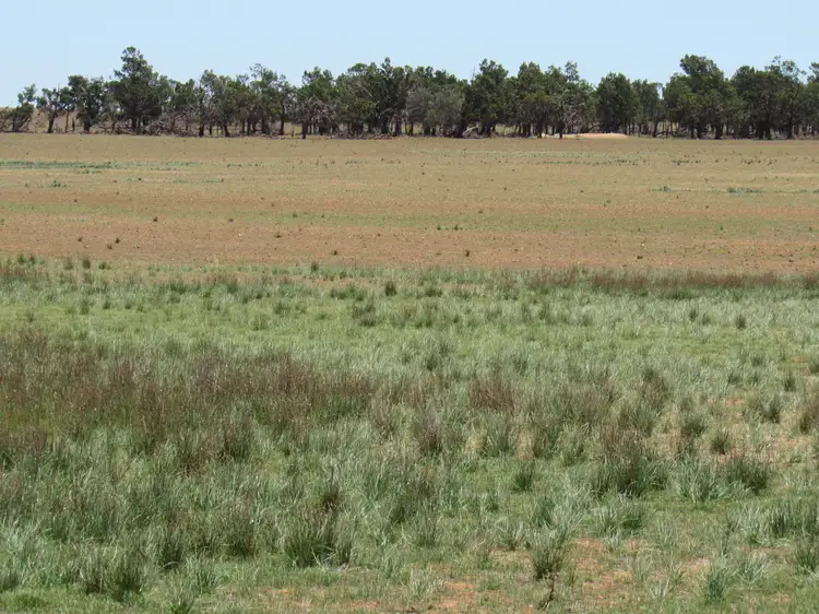Main view of Homely rural property listing, "The Pines" 75 Lang Road, Sunnybrae SA 5422