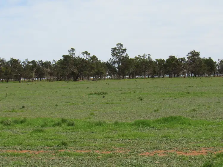 Second view of Homely rural property listing, "The Pines" 75 Lang Road, Sunnybrae SA 5422