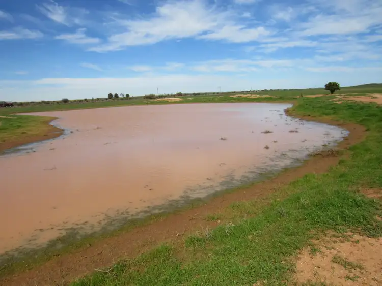 Third view of Homely rural property listing, "The Pines" 75 Lang Road, Sunnybrae SA 5422