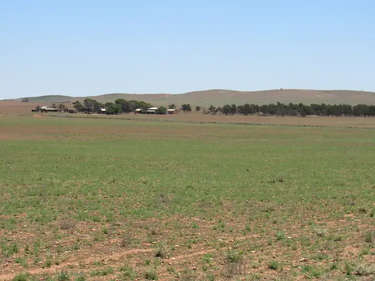 Third view of Homely rural property listing, "The Pines" 75 Lang Road, Sunnybrae SA 5422
