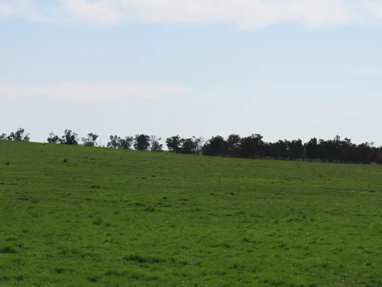 Sixth view of Homely rural property listing, "The Pines" 75 Lang Road, Sunnybrae SA 5422