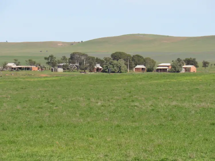 Seventh view of Homely rural property listing, "The Pines" 75 Lang Road, Sunnybrae SA 5422