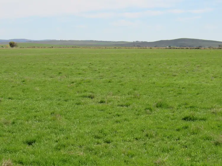 Fifth view of Homely rural property listing, "The Pines" 75 Lang Road, Sunnybrae SA 5422