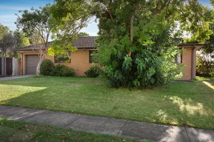 Main view of Homely house listing, 41 Cool Store Road, Hastings VIC 3915