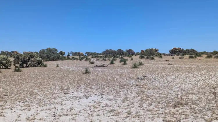 Seventh view of Homely rural property listing, 1271 Beermullah Road, Beermullah WA 6503