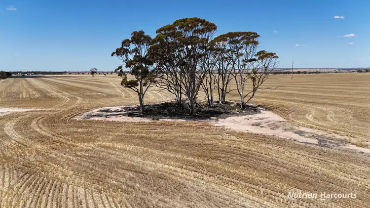 Main view of Homely rural property listing, 18984 Great Eastern Highway, South Doodlakine WA 6411