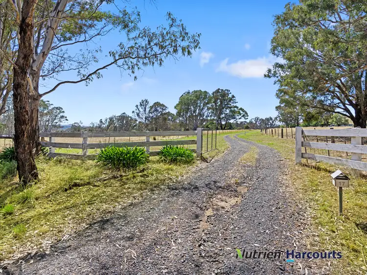 Fourth view of Homely rural property listing, 17 King Parrot Creek Road, Kerrisdale VIC 3660