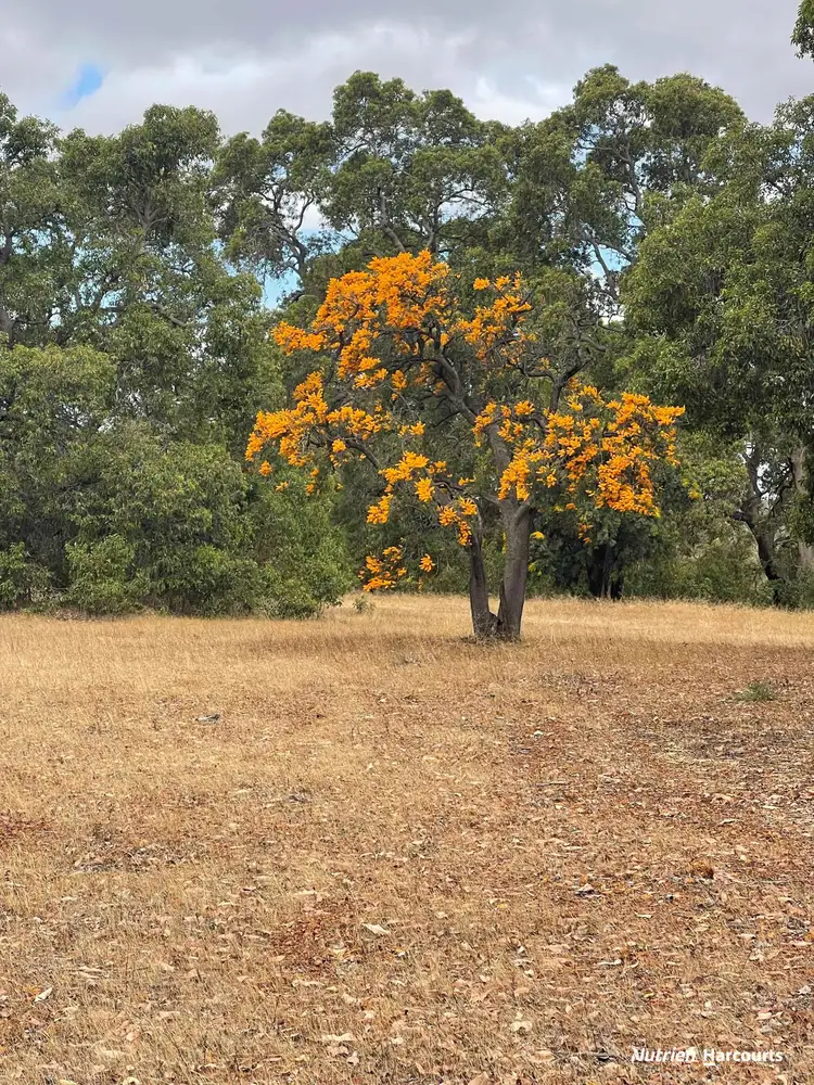 Fourth view of Homely rural property listing, 204 Cullalla Road, Mooliabeenee WA 6504
