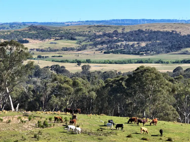 1886 Gurrundah Road, Goulburn NSW 2580