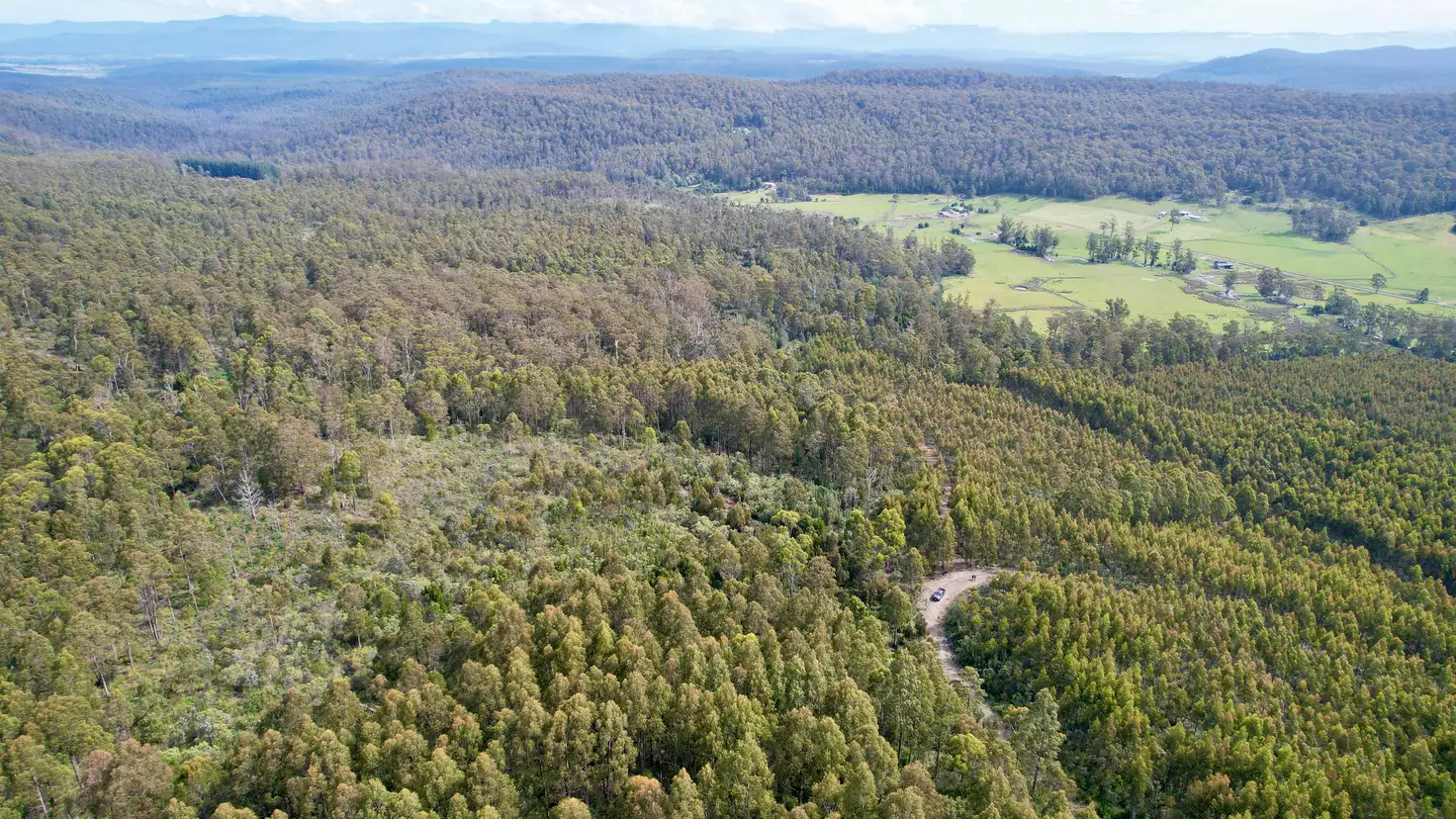 Main view of Homely land listing, 0a Priestleys Lane, Birralee TAS 7303