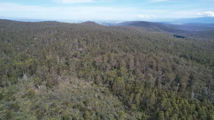 Fourth view of Homely land listing, 0a Priestleys Lane, Birralee TAS 7303