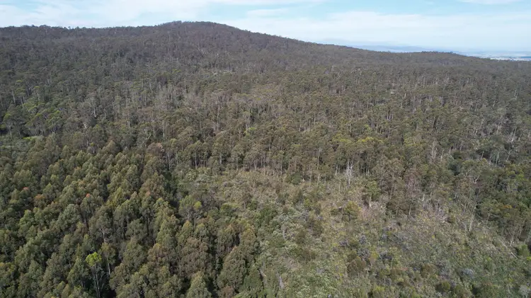 Fifth view of Homely land listing, 0a Priestleys Lane, Birralee TAS 7303