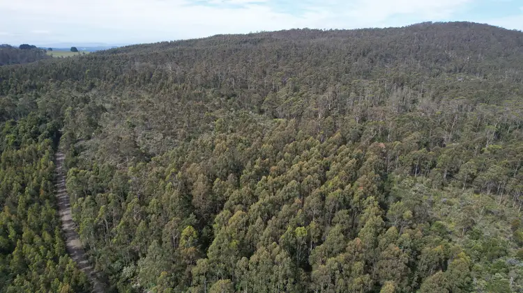 Sixth view of Homely land listing, 0a Priestleys Lane, Birralee TAS 7303