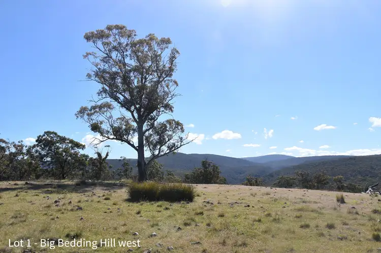 Fifth view of Homely land listing, 750 Crossins Road, Swansea TAS 7190