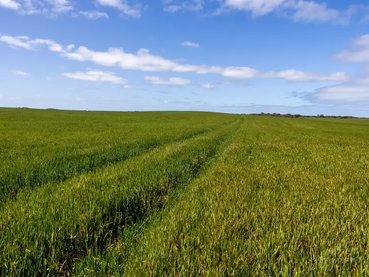 Second view of Homely rural property listing, 362 Foul Bay Road, Foul Bay SA 5577