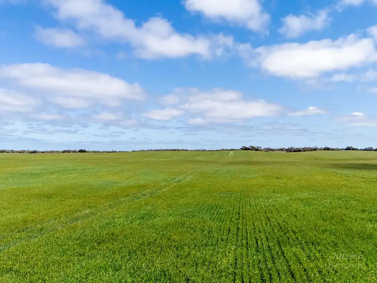 Third view of Homely rural property listing, 362 Foul Bay Road, Foul Bay SA 5577