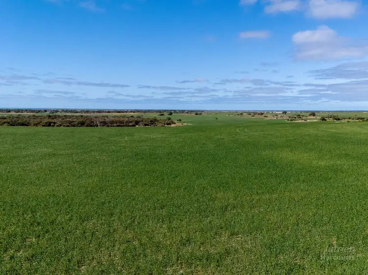Main view of Homely rural property listing, Sect. 217 Old Saltworks Road, Warooka SA 5577