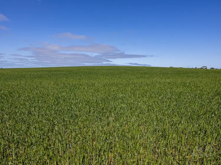 Third view of Homely rural property listing, Sect. 217 Old Saltworks Road, Warooka SA 5577